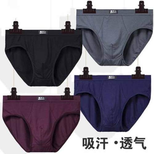 莫代尔纤维棉男吸汗透气三角内裤