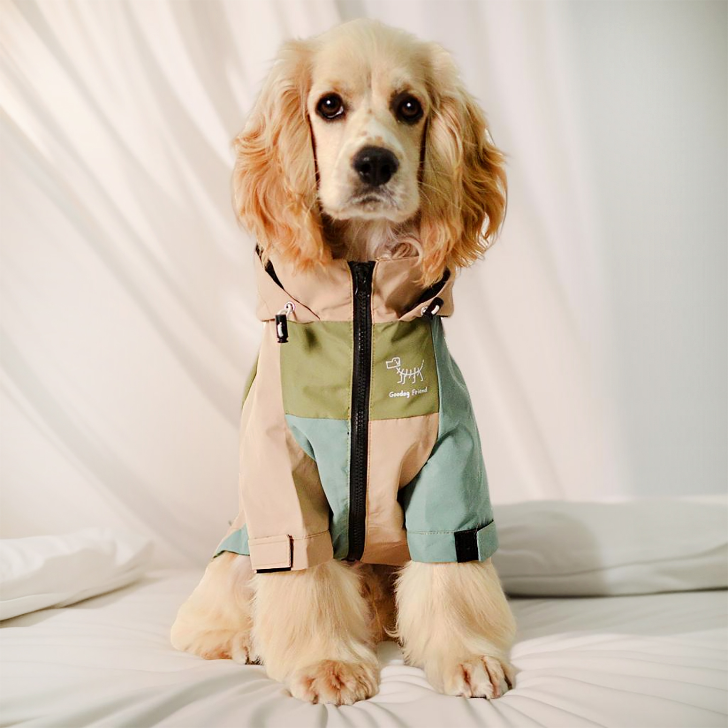 潮牌狗狗冲锋衣雪纳瑞比熊泰迪边牧巨贵西高地秋冬可牵引狗衣服