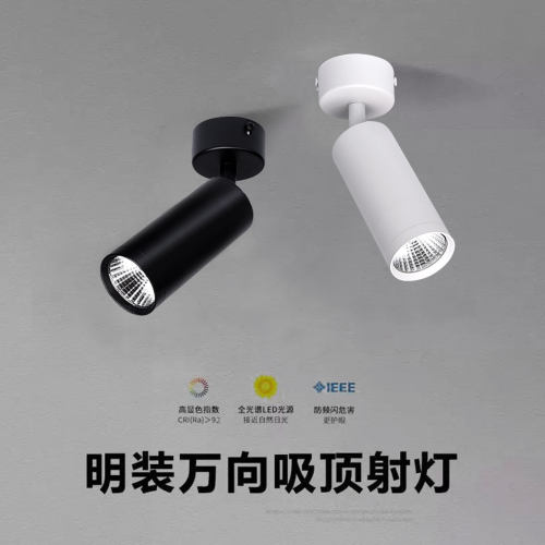 明装吸顶射灯可调角度洗墙灯12W