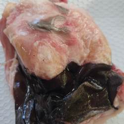 骆驼掌2斤多1只包邮 带皮去腿棒骨带筋驼掌 现宰草原野外红驼