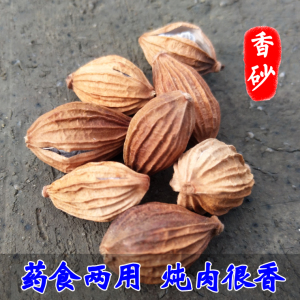 新货无硫农家晒干香砂 川砂仁金砂仁增鲜香料调料大全1000g包邮