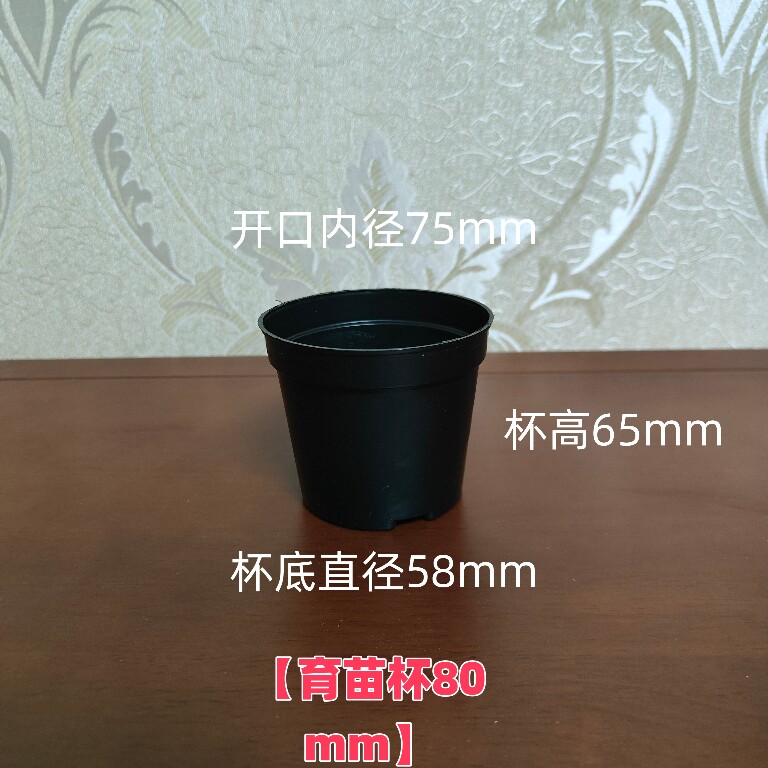 【育苗杯】小圆杯迷你月季盆多肉植物花盆 黑塑料软盆种植盆