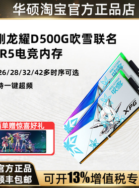 威刚XPG D500G DDR5 6000Mhz CL26 ROG吹雪 16G*2套装 内存灯条