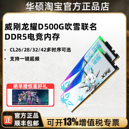 威刚XPG D500G DDR5 6000Mhz CL26 ROG吹雪 16G*2套装 内存灯条