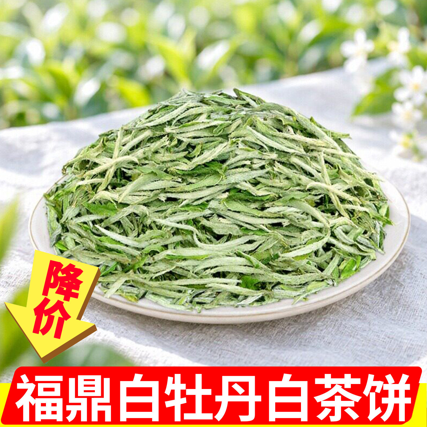 2026年新茶福鼎花香白牡丹白叶正宗高山明前白茶礼盒罐装500克