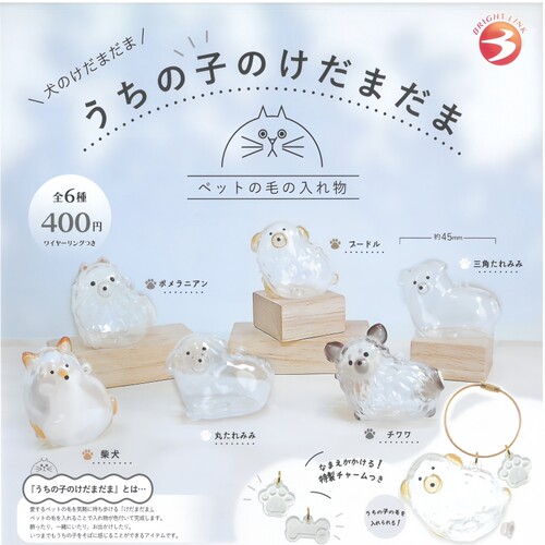 透明狗毛收纳盒吊饰扭蛋