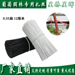 葡萄扎丝 0.55圆扁捆绑枝条 绑猕猴桃无花果火龙果扎线 园林扎带