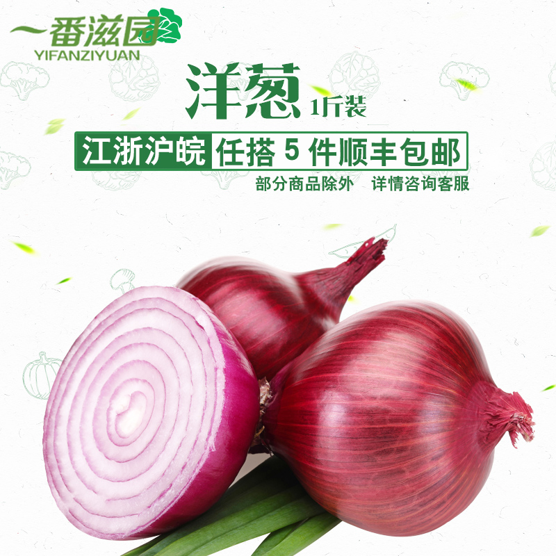 新鲜红洋葱 500g（1斤装）洋葱|msdalam kategori daging perikanan/Buah-buahan segar dan sayur-sayuran/dimasak, sayur-sayuran segar/Vegetable Products, sayur-sayuran segar, lain - dari Buy2taobao.com untuk memberikan perkhidmatan ejen Taobao profesional membeli