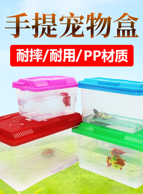 小号长方形手提宠物金鱼缸乌龟缸养鱼箱透气饲养盒塑料鱼盒子