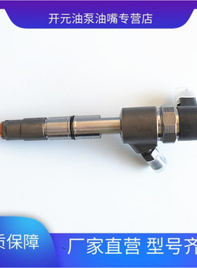 0445110484 喷油器总成 适用于上汽大通皮卡V80T60 G10 D90发动机