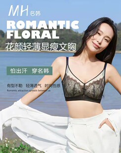 名韩新款 ABC全罩杯镂空大胸显小软钢圈性感聚拢文胸 内衣1003薄款