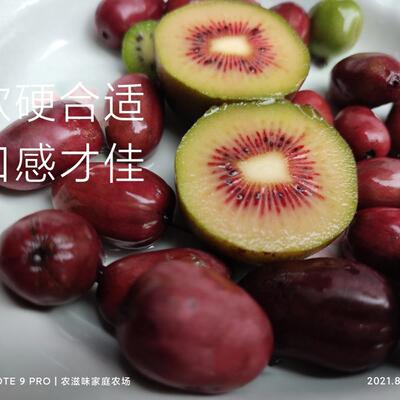 生态有机蒲江猕猴桃农滋味鲜果