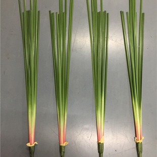 假蒲叶 仿真蒲草塑料蒲棒水蜡烛叶草干花装饰花艺插花素材