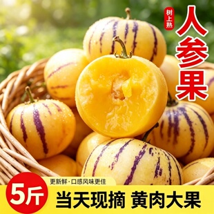人参果新鲜水果当季整箱云南石林树上熟现摘现发七彩大果人叁果