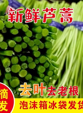 品质无叶芦蒿新鲜黎蒿苏北农家自种篱蒿藜蒿时令蔬菜泥蒿非八卦洲