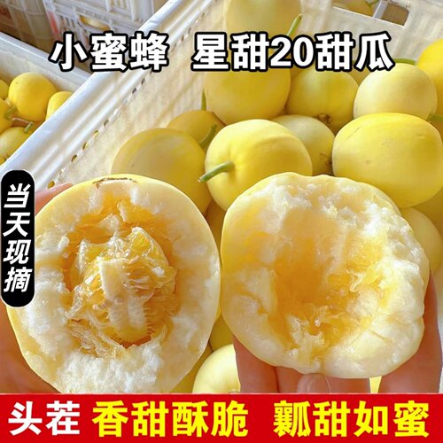 山东星甜20小香瓜脆甜新鲜