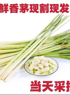 香茅草新鲜食用奶茶原料商用柠檬茶冬阴功食材泰国菜香料柠檬草
