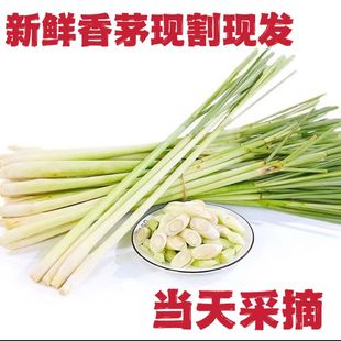 香茅草新鲜食用奶茶原料商用柠檬茶冬阴功食材泰国菜香料柠檬草
