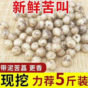 品质苦藠团葱新鲜蔬菜四川苦藠头苦藠种野葱头小蒜头薤白野生苦叫