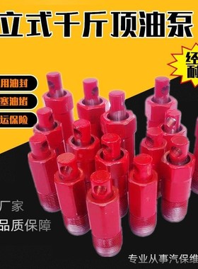 立式液压千斤顶油泵修配件小活塞20吨50吨修理包小油缸柱塞油泵体