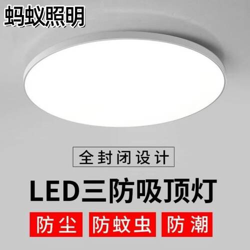 led蚂蚁24w36w高亮节能家用商用防潮防虫防尘三防吸顶灯