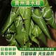 贵州手工原味白米粽子纯糯米粽子端午节粽子现做批发新鲜日期真空