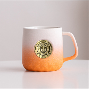 南京林业大学陶瓷马克杯可定制毕业礼物文创水杯咖啡杯情侣纪念杯