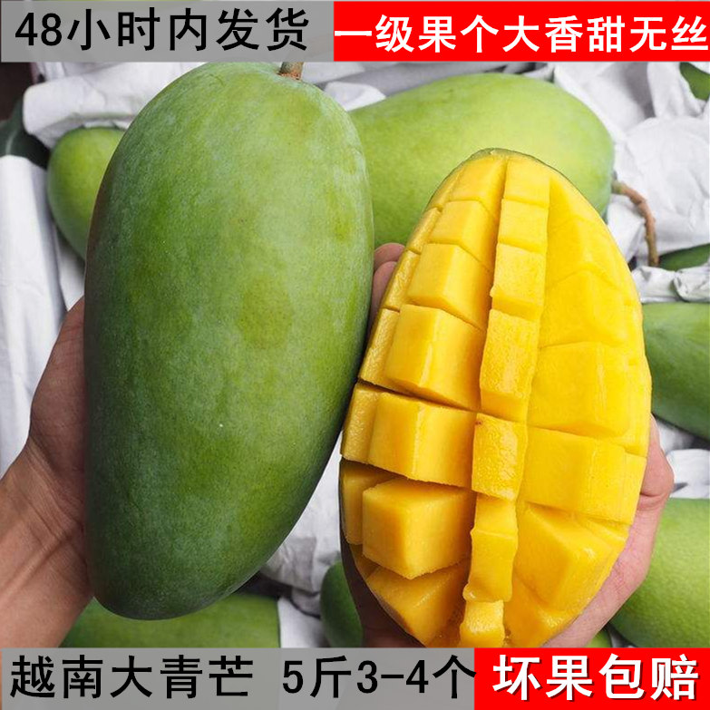 越南大青芒特大金煌芒果 进口新鲜水果时令非玉芒贵妃芒5斤包邮