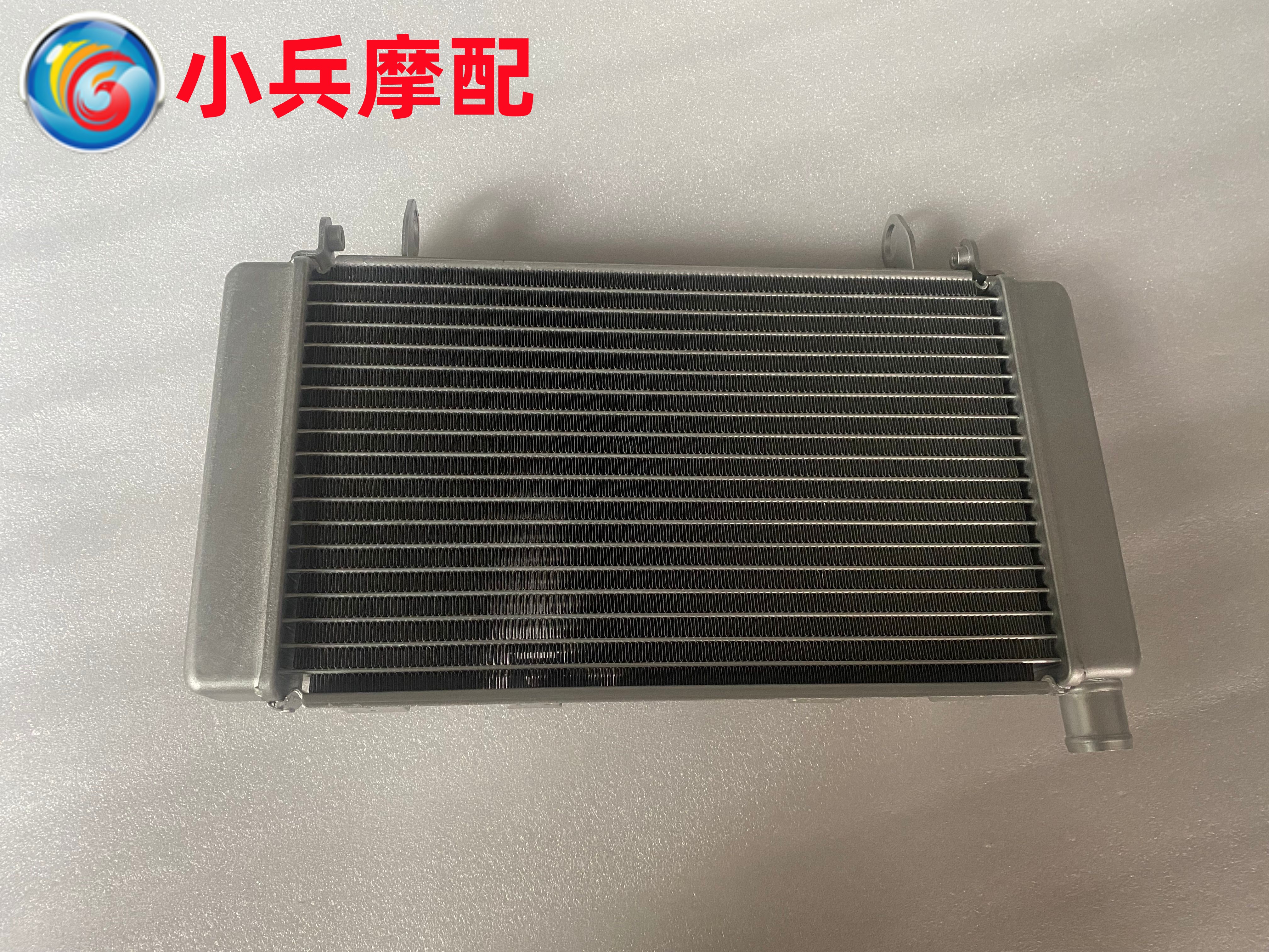 黄龙600水箱BJ600GSBN600i