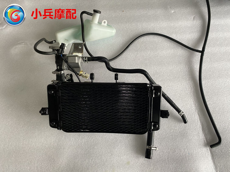 适用铃木骊驰GW250-A国四摩托车水箱散热器水冷却风扇副水箱全套