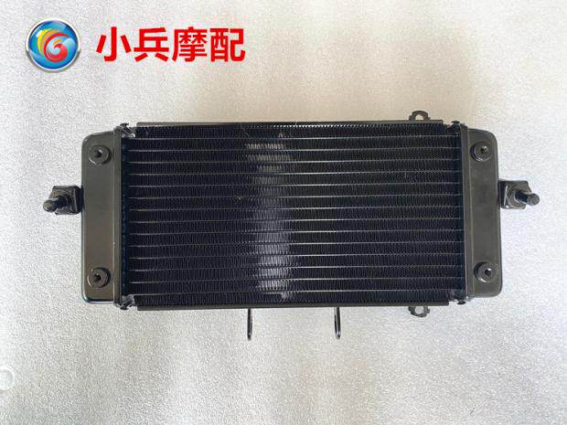 适用铃木骊驰GW250-A国四摩托车水箱散热器冷却水冷器