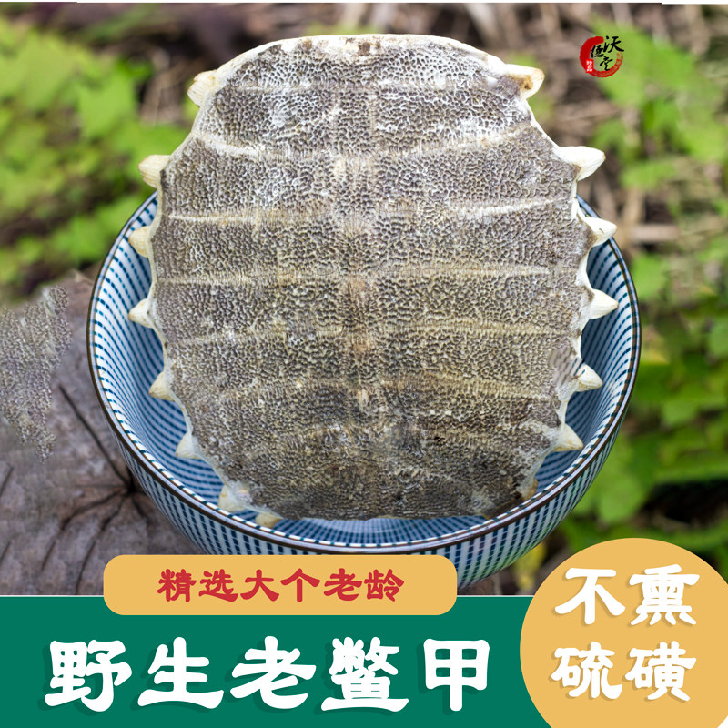 老鳖甲壳中药材生甲鱼壳鳖盖子图片