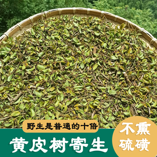 100%野生黄皮树寄生 黄皮木寄生 黄皮果寄生茶切段 500g 中药材