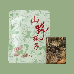 山野栀子花白茶福鼎老寿眉老白茶栀子花窨制工艺枣香奶香一斤自喝