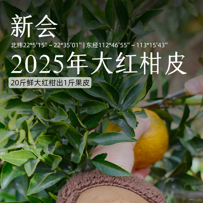 新会核心产区茶枝柑陈皮新皮