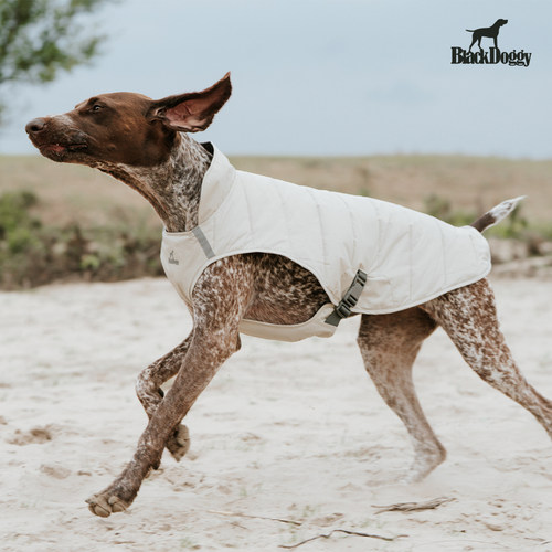 BlackDoggy狗狗秋冬保暖马甲轻薄