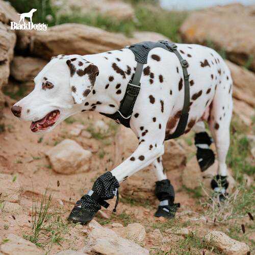 BlackDoggy狗狗鞋套防滑防掉