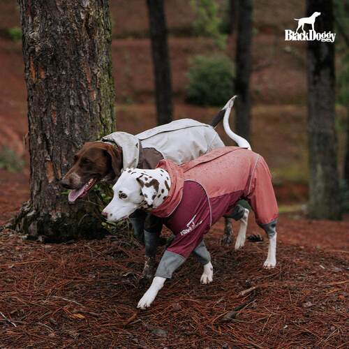 BlackDoggy狗狗硬壳防水四脚雨衣