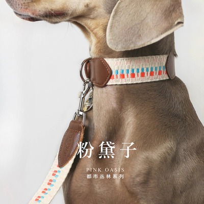 狗狗项圈PaiPet狗脖圈狗狗牵引绳灵缇惠比特编织真皮定制防丢名牌