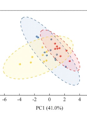主成分分析PCA图综合评分载荷图2D和3D多维图聚类分析基因分析