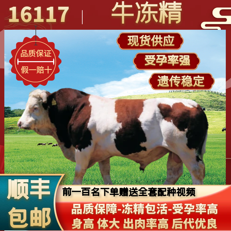 高温牛冻精西门塔尔16117种牛冻精/牛精子/牛精液/牛种子人工授精