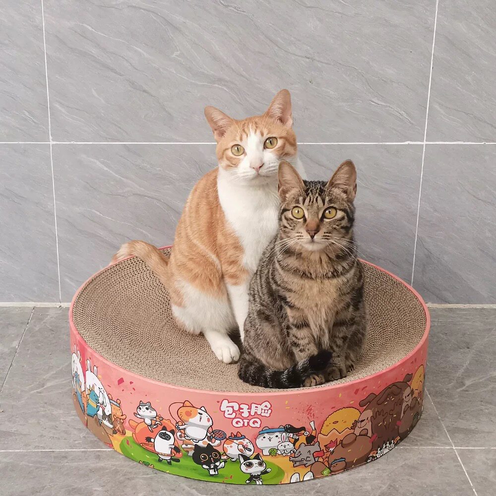 益蔻icle橙色包子脸巨无霸推荐20斤猫BB瓦楞更耐磨耐用底部封底