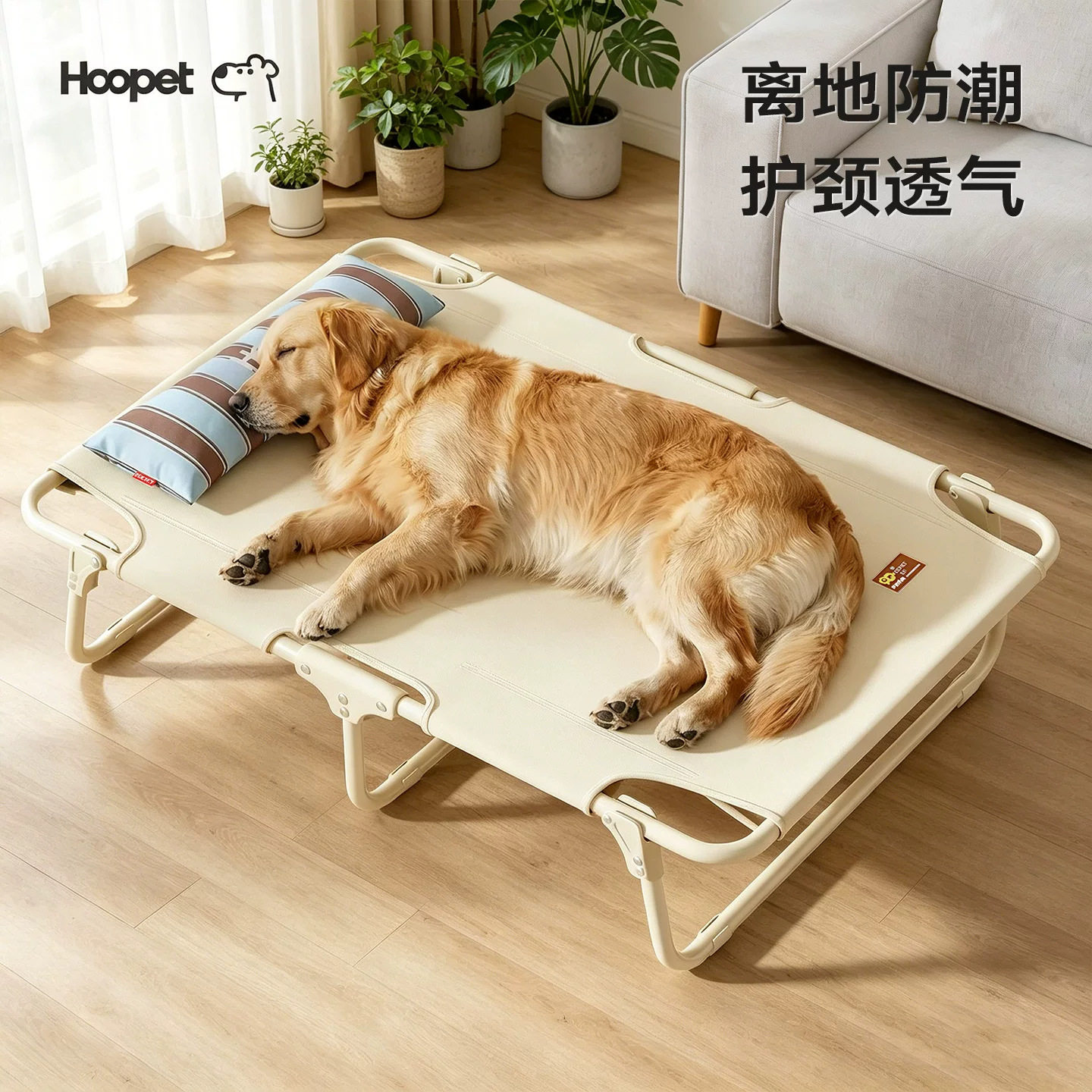 Hoopet狗狗行军床防水离地床宠物床夏季睡窝狗床大型狗窝四季通用