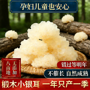 古田椴木小银耳干货特级非有机野生一级白木耳无硫出胶毛重糯银耳