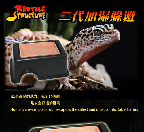 豹纹守宫加湿躲避加湿窝爬虫躲避穴玩具蛇躲避饮水盆饲养盒爬虫