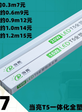 当亮照明T5一体化灯管led长条灯条客厅藏光白暖光日光灯家用光管