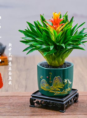 招财手鸿运当头盆栽办公室净化空气好养花卉植物开花国风招财
