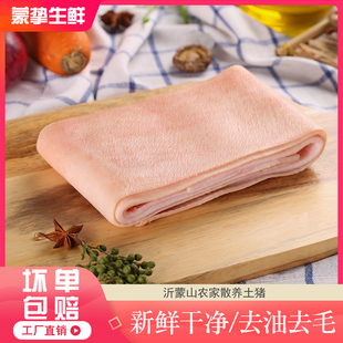 新鲜猪皮 国产猪肉皮猪大皮脊皮脊背皮精加工无油无毛优质肉皮