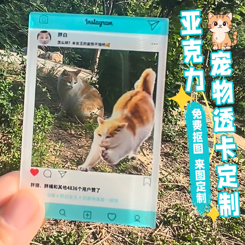 亚克力宠物透卡定制猫猫狗狗头像pvc卡片印刷打卡拍照合影卡定做