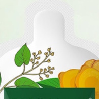 代胡多A栗Z黑F露160ml/盒(10包/盒)